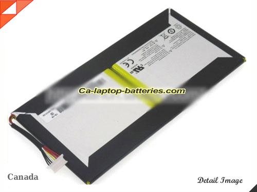 Genuine OTHER EG20-1S10400-G1A3 Laptop Computer Battery EG20-1S10400-T1T2 Li-ion 10400mAh, 39.52Wh  In Canada 